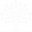 Symmetree IT Logo